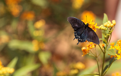 Similar image 13051987