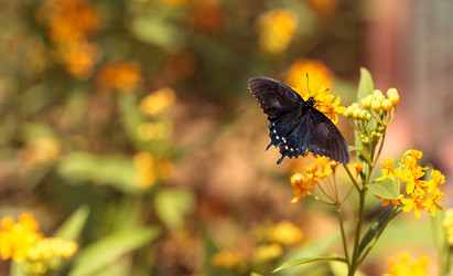 Similar image 13051999