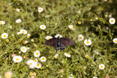 Similar image 13052005