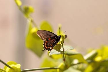 Similar image 13051847