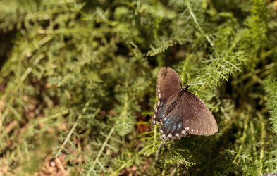 Similar image 13051848