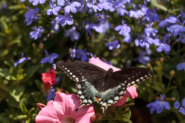 Similar image 13051867