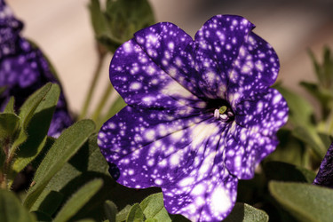 Similar image 13002376