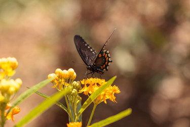 Similar image 13051910