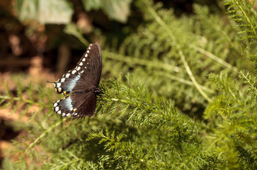 Similar image 13051911