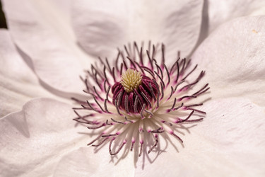 Similar image 13002396