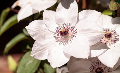 Similar image 13051951