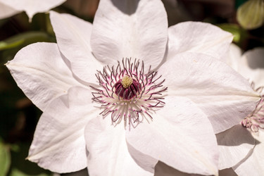 Similar image 13052045