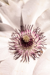 Similar image 13052047