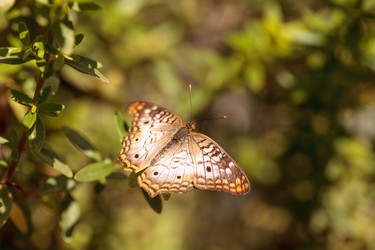 Similar image 13002415