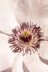 Similar image 13052080