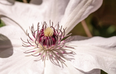 Similar image 13052082