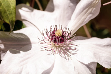 Similar image 13052083