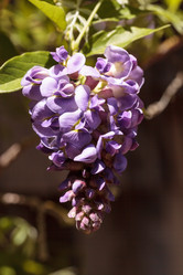 Similar image 13052084