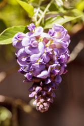 Similar image 13002416