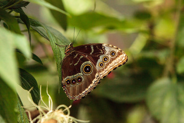 Similar image 13002454