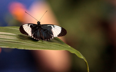 Similar image 13052159