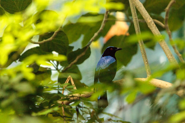 Similar image 13051653