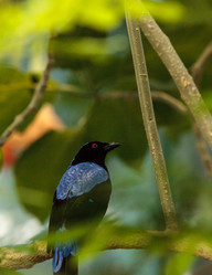 Similar image 13051276