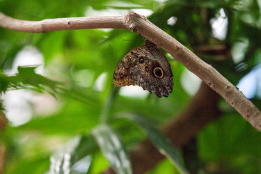 Similar image 13052216