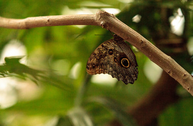 Similar image 13051277