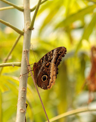 Similar image 13051278