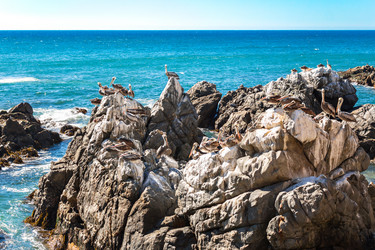 Similar image 13005022