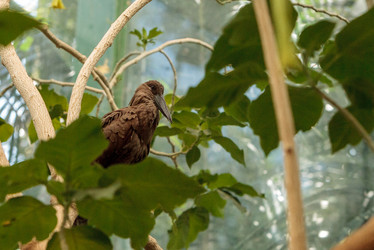 Similar image 13051763