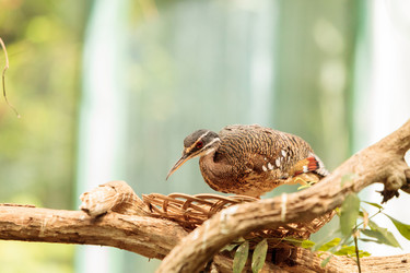 Similar image 13051734