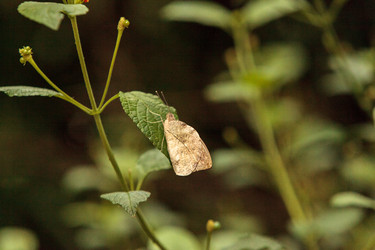 Similar image 13051353