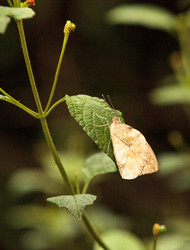 Similar image 13051781