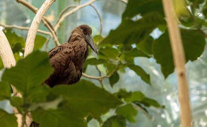 Similar image 13051782