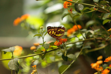 Similar image 13051812