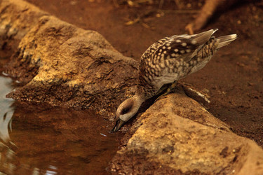 Similar image 13051831