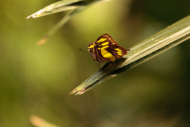 Similar image 13051398