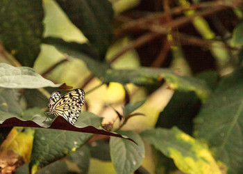 Similar image 13051400