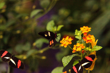 Similar image 13051555