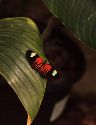 Similar image 13051694