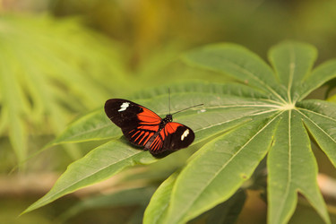 Similar image 13051737