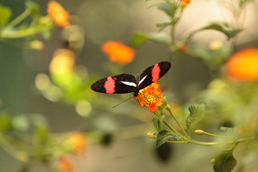 Similar image 13051738