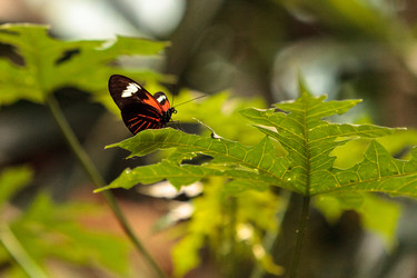 Similar image 13051739