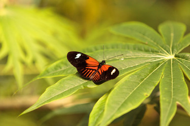 Similar image 13051740