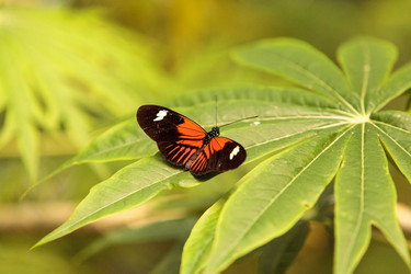 Similar image 13002455