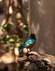 Similar image 13002456