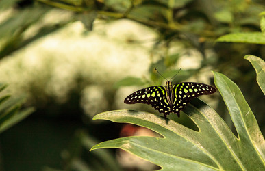 Similar image 13052010