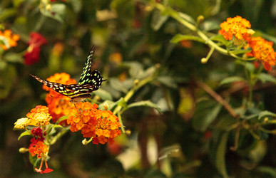 Similar image 13052011