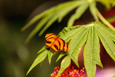 Similar image 13052012