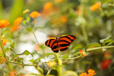 Similar image 13052013