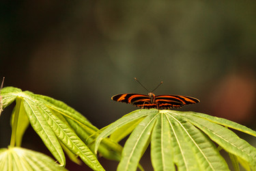 Similar image 13051851