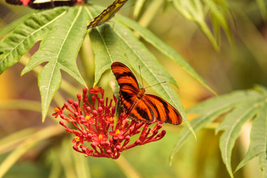 Similar image 13051852